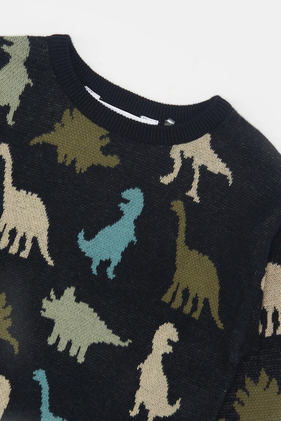 Infant Boys Black Dino Printed Pullover